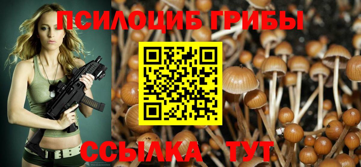 Галлюциногенные грибы Psilocybe Уварово